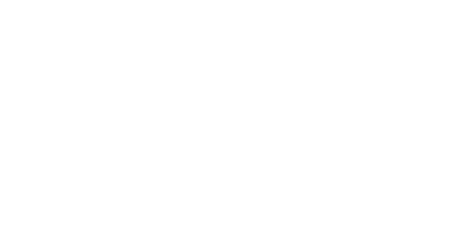 Ruckus Networks